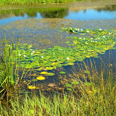 Casa Altobierzo, 9 Y 9 Banos Lantställe *